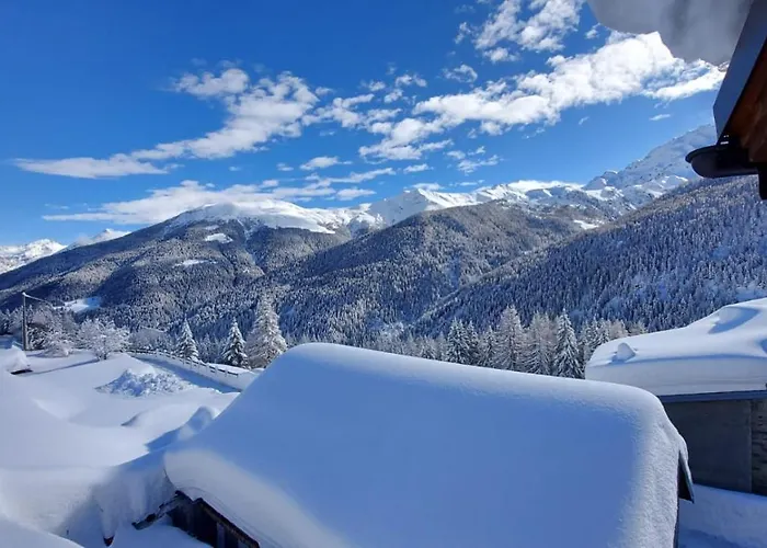 Selva * Isolaccia