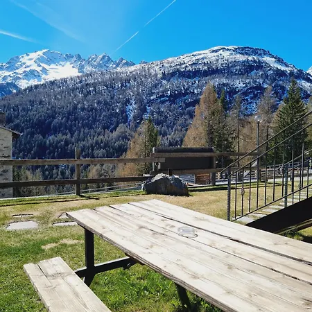 Selva