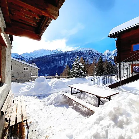 Selva Daire Isolaccia