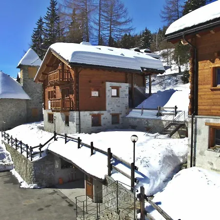 Selva Daire *