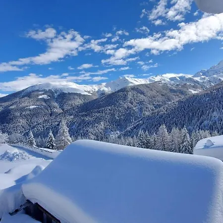 Selva * Isolaccia