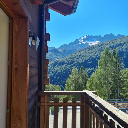 Selva Daire Isolaccia