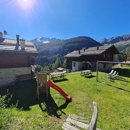 Selva Daire Isolaccia